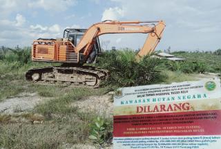 Siapa Saja Pemohon Inver PPTPKH di Pelalawan, Yayasan Salamba Angkat Bicara